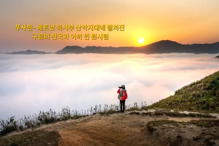 푸사핀, 베트남 서북부 구름과 이끼 낀 원시림의 천국